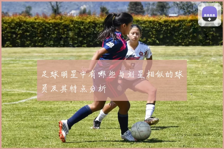 足球明星中有哪些与刘星相似的球员及其特点分析