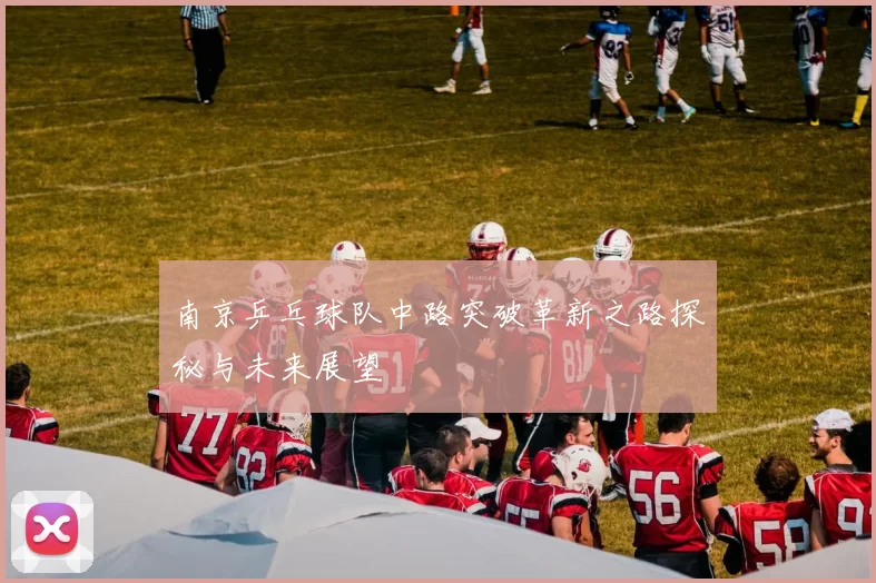 南京乒乓球队中路突破革新之路探秘与未来展望
