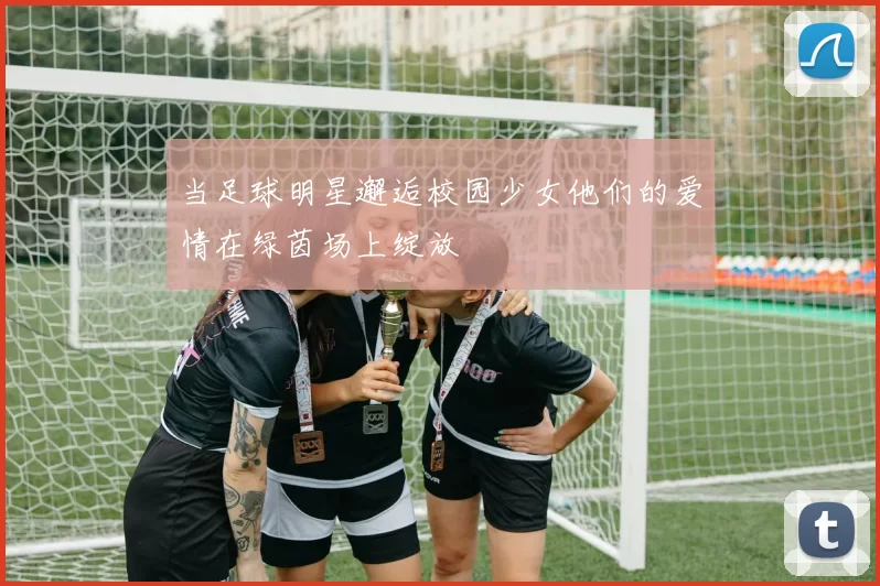 当足球明星邂逅校园少女他们的爱情在绿茵场上绽放