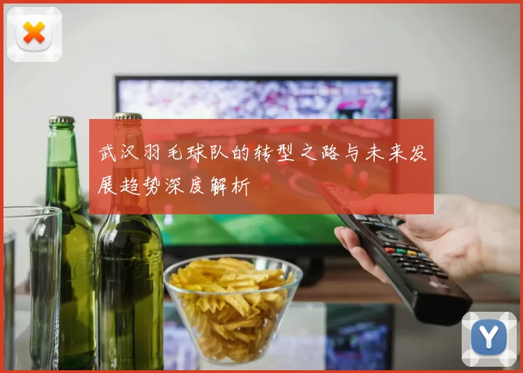 武汉羽毛球队的转型之路与未来发展趋势深度解析