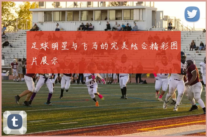 足球明星与飞马的完美结合精彩图片展示