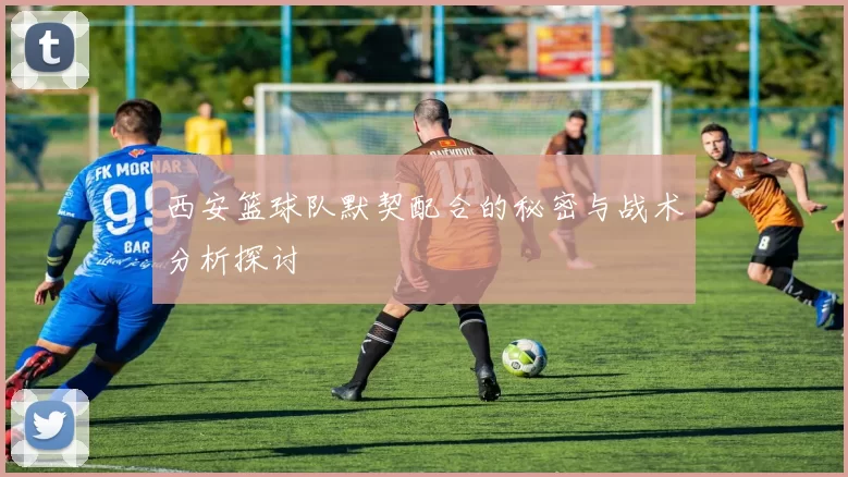 西安篮球队默契配合的秘密与战术分析探讨