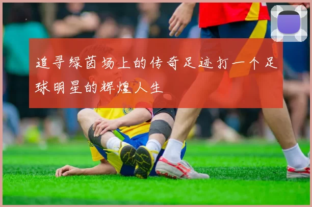 追寻绿茵场上的传奇足迹打一个足球明星的辉煌人生