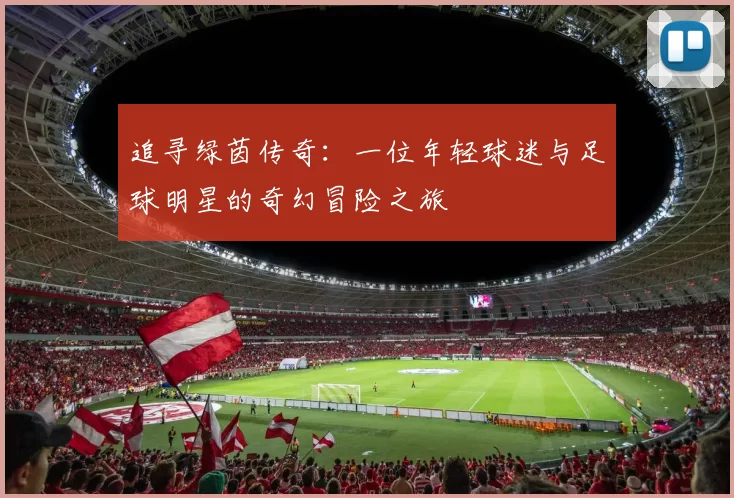 追寻绿茵传奇：一位年轻球迷与足球明星的奇幻冒险之旅