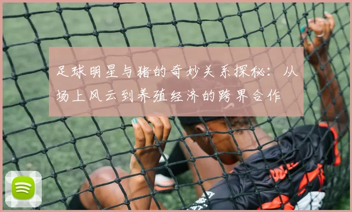 足球明星与猪的奇妙关系探秘：从场上风云到养殖经济的跨界合作