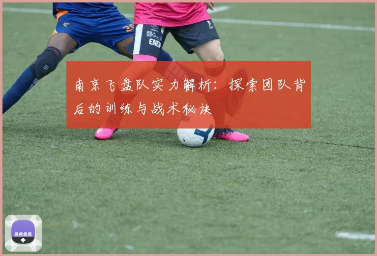 南京飞盘队实力解析：探索团队背后的训练与战术秘诀