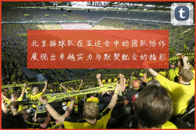北京排球队在亚运会中的团队协作展现出卓越实力与默契配合的精彩表现