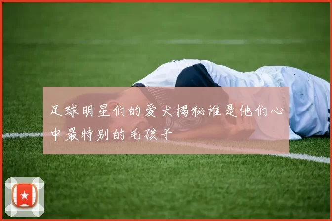 足球明星们的爱犬揭秘谁是他们心中最特别的毛孩子