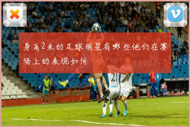 身高2米的足球明星有哪些他们在赛场上的表现如何