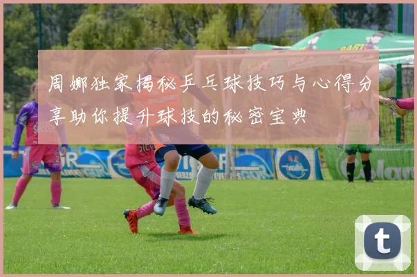 周娜独家揭秘乒乓球技巧与心得分享助你提升球技的秘密宝典