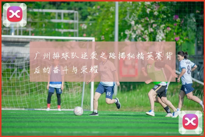广州排球队逆袭之路揭秘精英赛背后的奋斗与荣耀