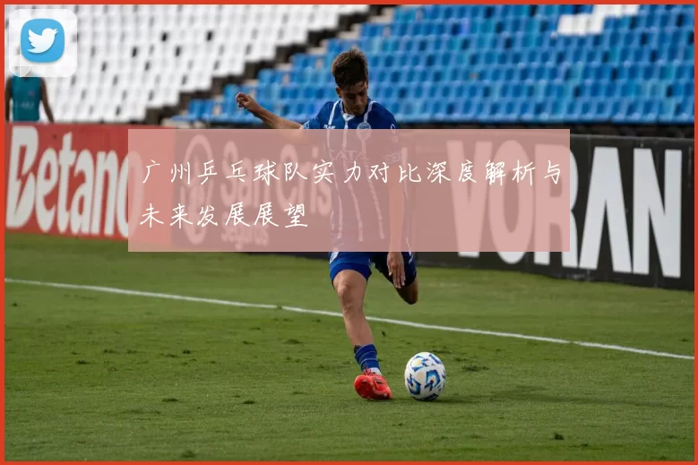 广州乒乓球队实力对比深度解析与未来发展展望