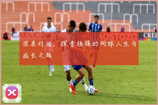 深度对话：探索杨强的网球人生与成长之路