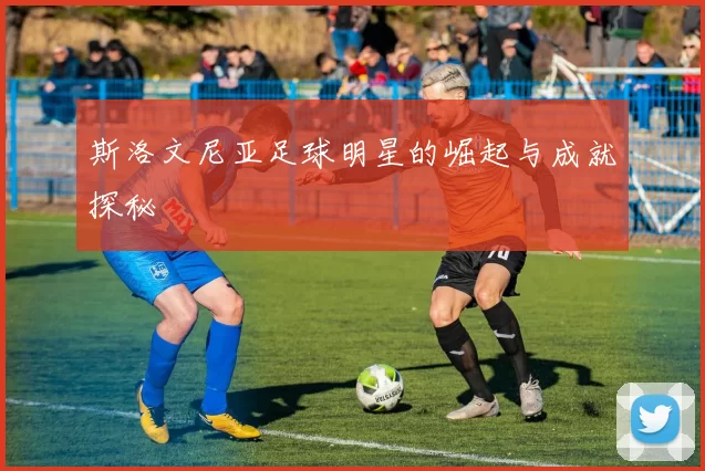 斯洛文尼亚足球明星的崛起与成就探秘