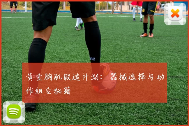 黄金胸肌锻造计划：器械选择与动作组合秘籍