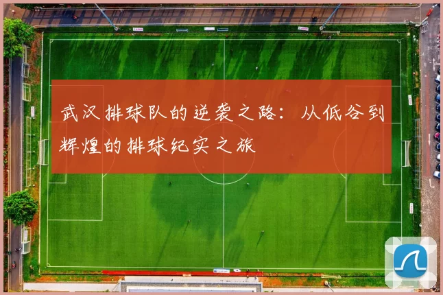 武汉排球队的逆袭之路：从低谷到辉煌的排球纪实之旅