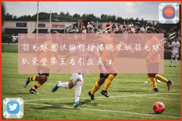 羽毛球意识排行榜揭晓深圳羽毛球队荣登第五名引发关注