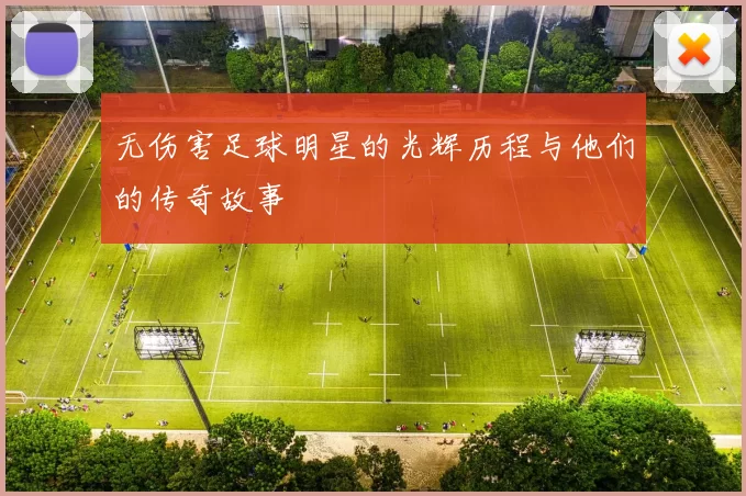 无伤害足球明星的光辉历程与他们的传奇故事