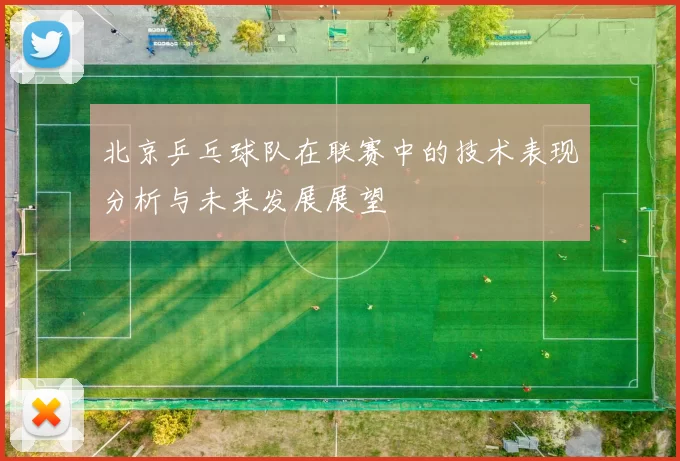 北京乒乓球队在联赛中的技术表现分析与未来发展展望