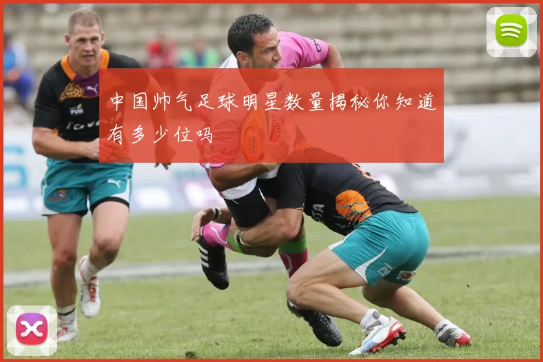 中国帅气足球明星数量揭秘你知道有多少位吗