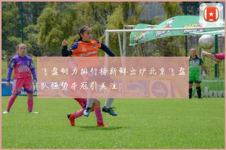 飞盘耐力排行榜新鲜出炉北京飞盘队强势夺冠引关注