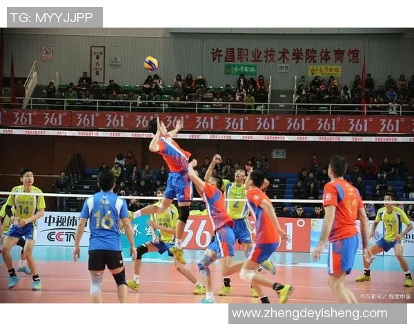 杭州排球队的耐力训练与比赛表现探讨聚焦排球的竞技精神与团队合作