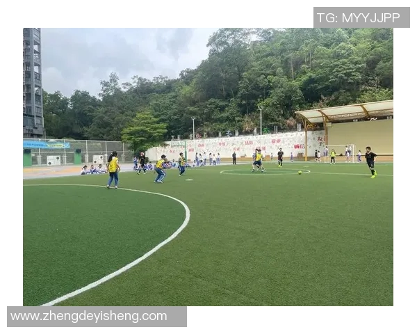 武汉足球队的耐力探秘：从训练到比赛的坚韧之路