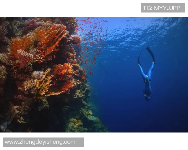 蛙泳动作分解与技巧提升全面指南助你轻松掌握流畅游泳姿势