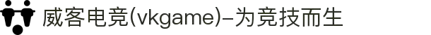威客电竞(vkgame)-为竞技而生